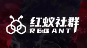 社群运营:红蚁社群【48节落地系统课程+2000人高端社群】-风淘社