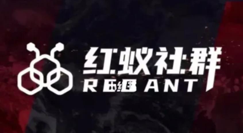 社群运营:红蚁社群【48节落地系统课程+2000人高端社群】-风淘社