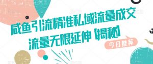 咸鱼引流精准私域流量成交流量无限延伸【揭秘】-风淘社