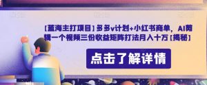 【蓝海主打项目】多多v计划+小红书商单,AI剪辑一个视频三份收益矩阵打法月入十万【揭秘】-风淘社
