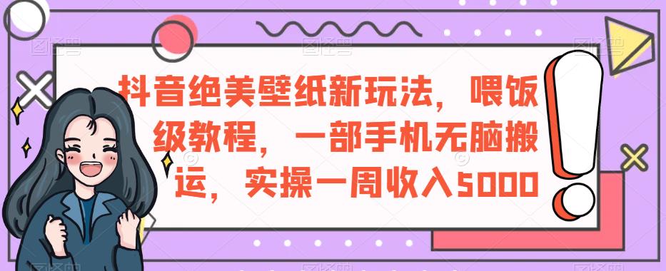 抖音绝美壁纸新玩法，喂饭级教程，一部手机无脑搬运，实操一周收入5000【揭秘】-风淘社
