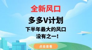 全新风口,多多V计划,下半年最大的风口项目,没有之一【揭秘】-风淘社