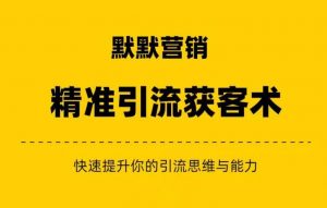 默默营销·精准引流+私域营销+逆袭赚钱(三件套)快速提升你的赚钱认知与营销思维-风淘社