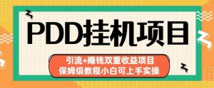 拼多多挂机项目引流+赚钱双重收益项目(保姆级教程小白可上手实操)【揭秘】-风淘社