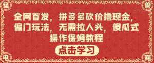 全网首发,拼多多砍价撸现金,偏门玩法,无需拉人头,傻瓜式操作保姆教程【揭秘】-风淘社