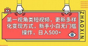 第一视角类短视频,更新多样化变现方式,新手小白无门槛操作,日入500+【揭秘】-风淘社