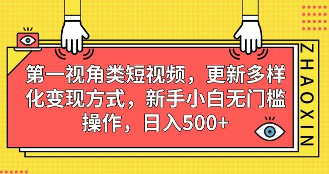 第一视角类短视频，更新多样化变现方式，新手小白无门槛操作，日入500+【揭秘】-风淘社