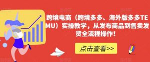 跨境电商(跨境多多、海外版多多TEMU)实操教学,从发布商品到售卖发货全流程操作!-风淘社