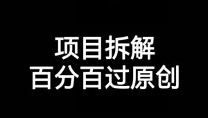 项目拆解赛道百分百过原创【揭秘】-风淘社