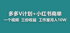 【蓝海项目】多多v计划+小红书商单一个视频三份收益工作室月入10w-风淘社