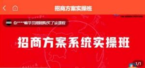 【一度招商】招商方案系统实操班 价值1980元-风淘社