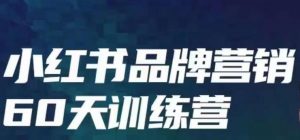 小红书品牌60天训练营第6期,GMV2亿级品牌老板都在学,教会你内容营销底层逻辑-风淘社