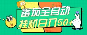 番茄全自动挂机日入50+,软件全自动,多号破百【揭秘】-风淘社
