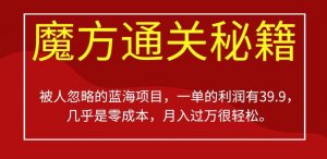 被人忽略的蓝海项目，魔方通关秘籍，一单的利润有39.9，几乎是零成本，月入过万很轻松【揭秘】-风淘社