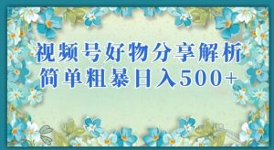视频号好物分享解析,简单粗暴可以批量方大的项目【揭秘】-风淘社
