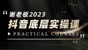 蟹老板·2023抖音底层实操课,打造短视频的底层认知-风淘社