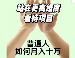 2023最火项目:站在更高维度看待项目,普通人如何月入十万【揭秘】-风淘社
