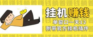 美金挂机项目，单窗口一天12，官方免费插件自动运行，对小白友好【揭秘】-风淘社