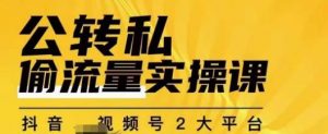 群响公转私偷流量实操课,致力于拥有更多自持,持续,稳定,精准的私域流量!-风淘社