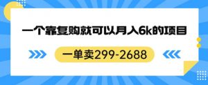 一单卖299-2688,一个靠复购就可以月入6k的暴利项目【揭秘】-风淘社