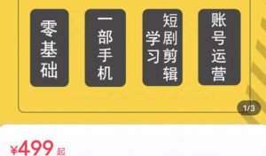 短剧另类新赛道剪辑解说课萱萱实操班（29节）-风淘社