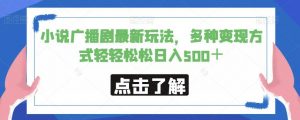小说广播剧最新玩法，多种变现方式轻轻松松日入500＋【揭秘】-风淘社
