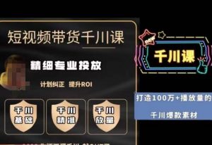 短视频带货-千川专业投放课,精细化专业投放,计划纠正,提升ROI-风淘社