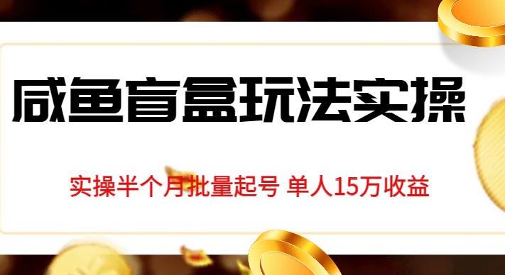 独家首发咸鱼盲盒玩法实操，半个月批量起号单人15万收益【揭秘】-风淘社