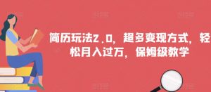 简历玩法2.0，超多变现方式，轻松月入过万，保姆级教学【揭秘】-风淘社