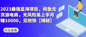 2023最强蓝海项目,闲鱼无货源电商,无风险易上手月赚10000,见效快【揭秘】-风淘社