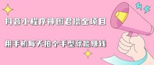 抖音小程序神图君撸金项目,用手机每天拍个手型挂载一下小程序就能赚钱【揭秘】-风淘社