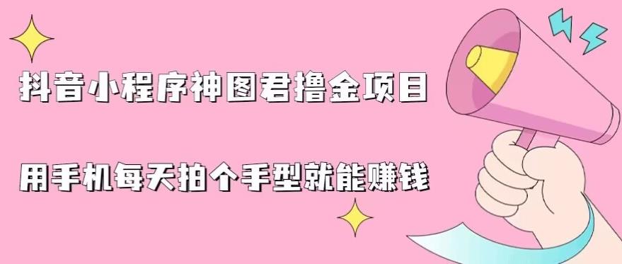 抖音小程序神图君撸金项目,用手机每天拍个手型挂载一下小程序就能赚钱【揭秘】-风淘社