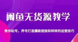 闲鱼无货源教学，教你起号，养号打造爆款链接以及转转的运营技巧-风淘社