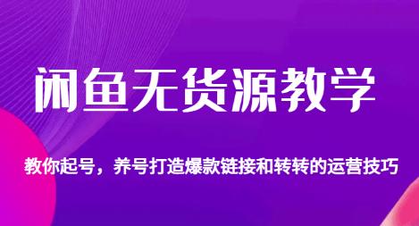 闲鱼无货源教学,教你起号,养号打造爆款链接以及转转的运营技巧-风淘社