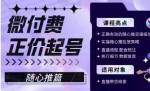 微付费正价起号(随心推篇),正确有效的随心推实操投放-风淘社