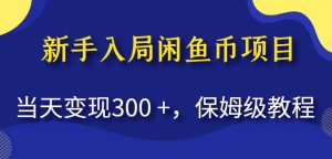 新手入局闲鱼币项目，当天变现300+，保姆级教程【揭秘】-风淘社