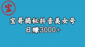 宝哥揭秘抖音美女号玩法,日赚3000+【揭秘】-风淘社