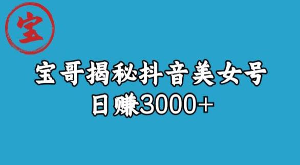 宝哥揭秘抖音美女号玩法,日赚3000+【揭秘】-风淘社