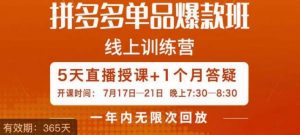 钟辰·拼多多单品爆款班,一个拼多多超级爆款养一个团队-风淘社