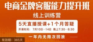 电商金牌客服能力提升班,提升客服能力是你店铺业绩的关键要素-风淘社
