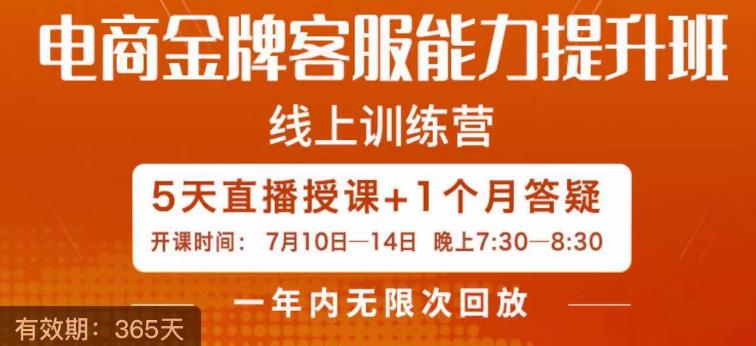 电商金牌客服能力提升班,提升客服能力是你店铺业绩的关键要素-风淘社