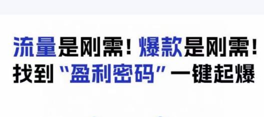 电商盈利精品课:6大盈利密码让产品更好卖,流量是刚需!爆款是刚需!找到”盈利密码”一键起爆-风淘社