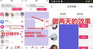 全网首发,日引500+男粉美女视频四开屏玩法,发一个爆一个【揭秘】-风淘社