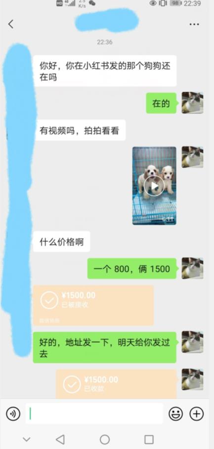 外边收费3980的同城萌宠项目,用最冷门的玩法冲击最热门的市场【揭秘】-风淘社
