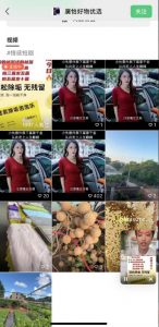 外面收费198的最新视频号连怼技术,条条原创,条条爆单【揭秘】-风淘社