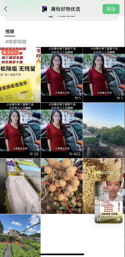 外面收费198的最新视频号连怼技术，条条原创，条条爆单【揭秘】-风淘社