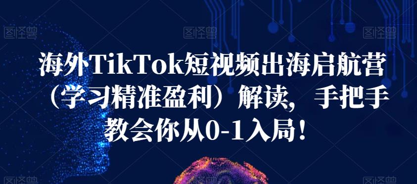 海外TikTok短视频出海启航营(学习精准盈利)解读,手把手教会你从0-1入局!-风淘社