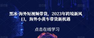 黑冰·海外短视频带货,2023年跨境新风口,海外小黄车带货新机遇-风淘社