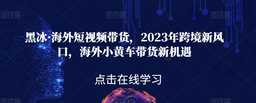 黑冰·海外短视频带货,2023年跨境新风口,海外小黄车带货新机遇-风淘社