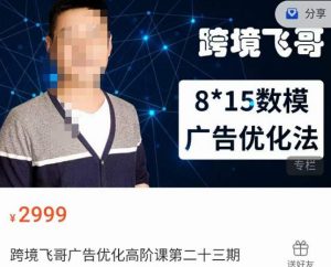 跨境飞哥·广告优化高阶课第二十三期,8*15数模广告优化法,用数据驱动决策-风淘社